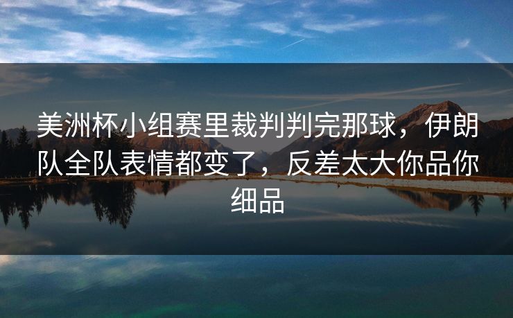 美洲杯小组赛里裁判判完那球，伊朗队全队表情都变了，反差太大你品你细品