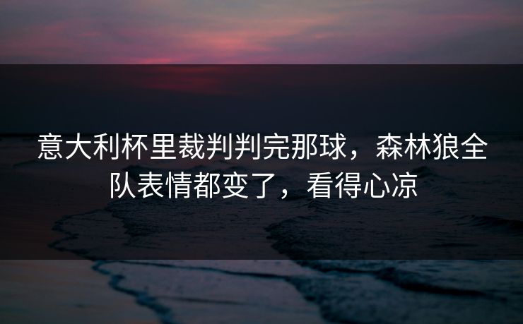 意大利杯里裁判判完那球，森林狼全队表情都变了，看得心凉